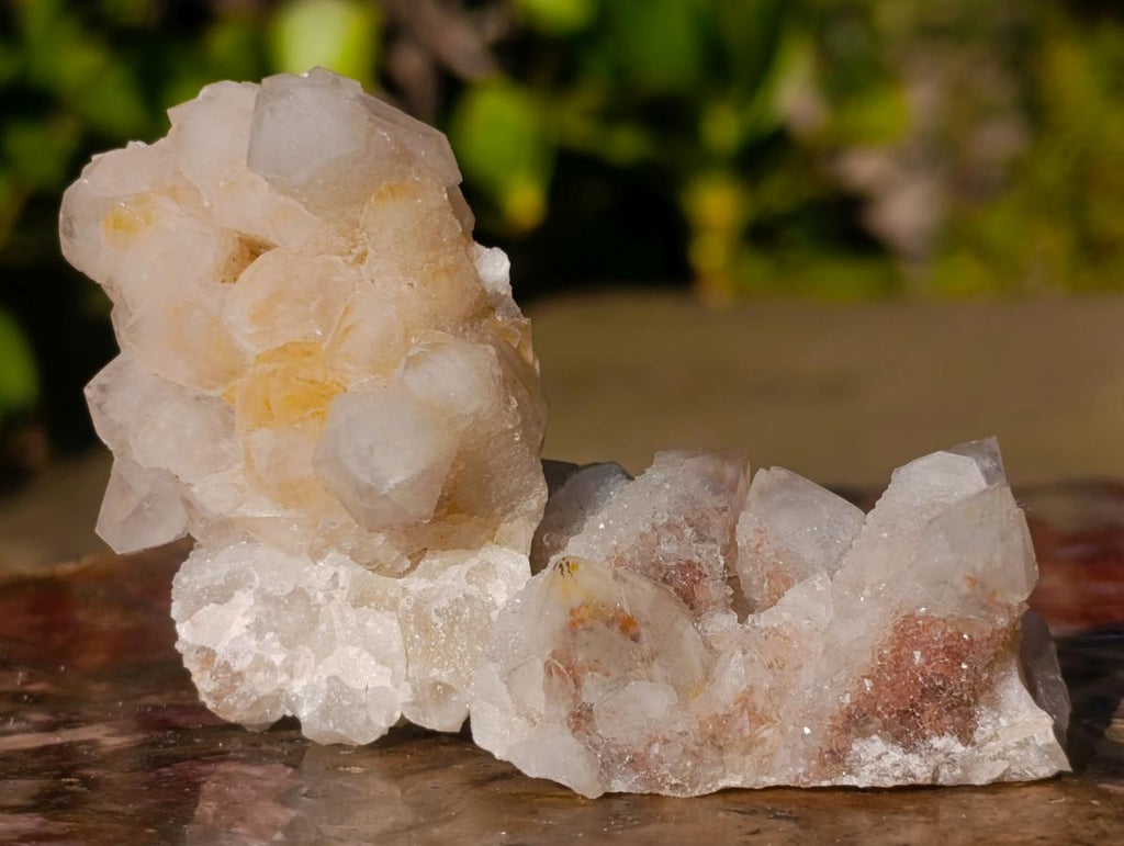 Natural White Spirit Quartz Crystal Clusters x 35 From Boekenhouthoek, South Africa - Toprock Gemstones and Minerals 