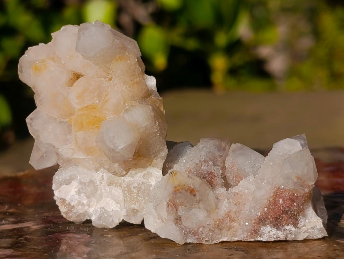 Natural White Spirit Quartz Crystal Clusters x 35 From Boekenhouthoek, South Africa - Toprock Gemstones and Minerals 