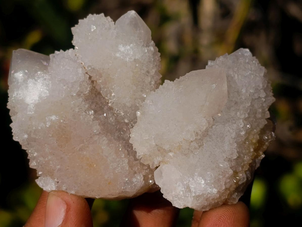 Natural White Spirit Quartz Crystal Clusters x 35 From Boekenhouthoek, South Africa - Toprock Gemstones and Minerals 