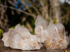 Natural White Spirit Quartz Crystal Clusters x 35 From Boekenhouthoek, South Africa - Toprock Gemstones and Minerals 