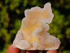 Natural White Spirit Quartz Crystal Clusters x 35 From Boekenhouthoek, South Africa - Toprock Gemstones and Minerals 