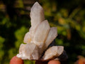 Natural White Spirit Quartz Crystal Clusters x 35 From Boekenhouthoek, South Africa - Toprock Gemstones and Minerals 