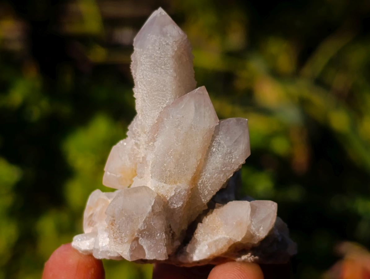 Natural White Spirit Quartz Crystal Clusters x 35 From Boekenhouthoek, South Africa - Toprock Gemstones and Minerals 
