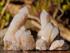 Natural White Spirit Quartz Crystal Clusters x 35 From Boekenhouthoek, South Africa - Toprock Gemstones and Minerals 
