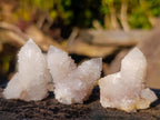 Natural White Spirit Quartz Crystal Clusters x 35 From Boekenhouthoek, South Africa - Toprock Gemstones and Minerals 