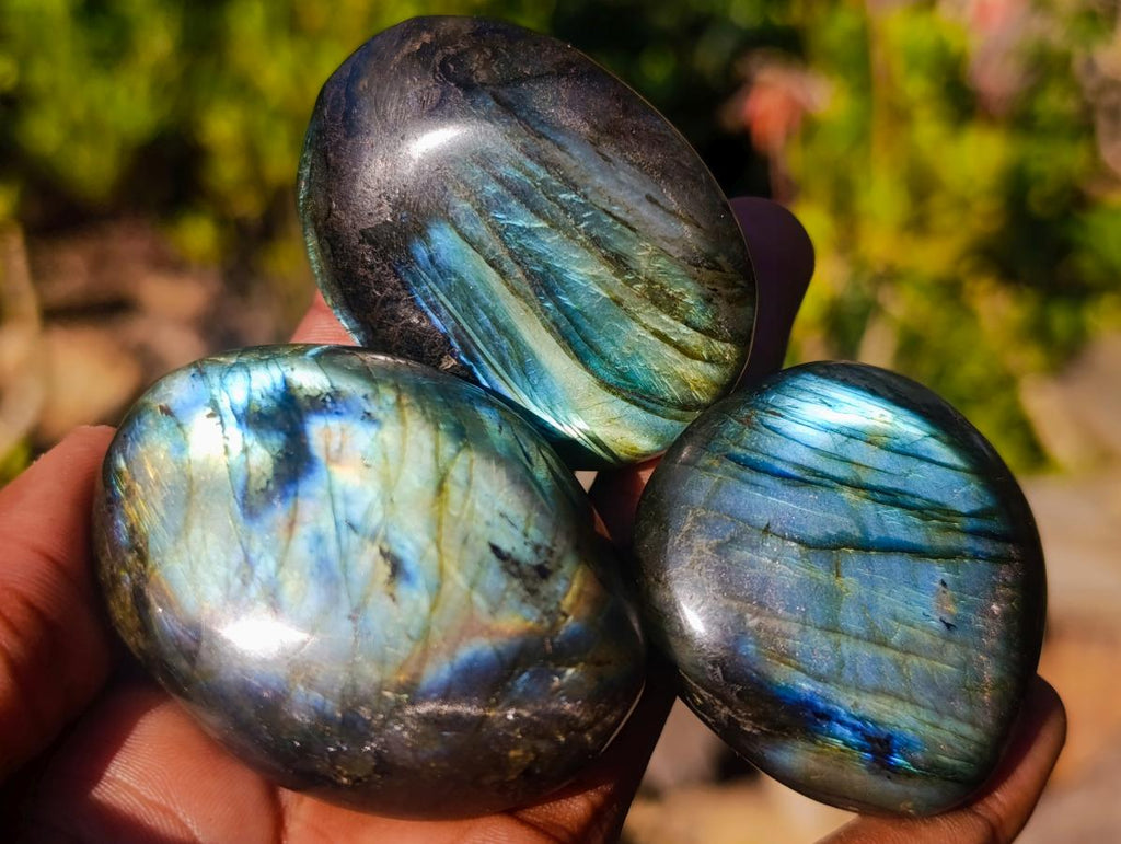 Polished Labradorite Palm Stones x 24 From Madagascar - Toprock Gemstones and Minerals 