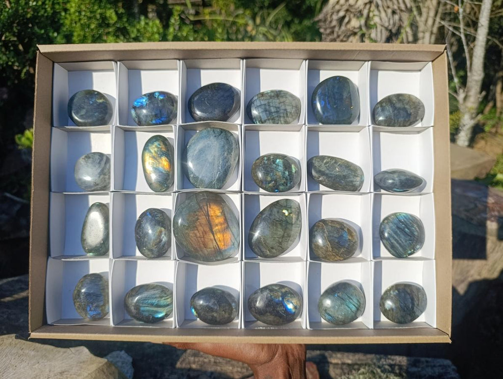 Polished Labradorite Palm Stones x 24 From Madagascar - Toprock Gemstones and Minerals 