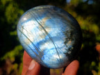 Polished Labradorite Palm Stones x 24 From Madagascar - Toprock Gemstones and Minerals 