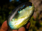 Polished Labradorite Palm Stones x 24 From Madagascar - Toprock Gemstones and Minerals 