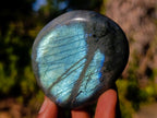 Polished Labradorite Palm Stones x 24 From Madagascar - Toprock Gemstones and Minerals 