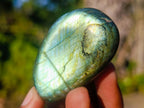 Polished Labradorite Palm Stones x 24 From Madagascar - Toprock Gemstones and Minerals 