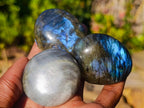 Polished Labradorite Palm Stones x 24 From Madagascar - Toprock Gemstones and Minerals 