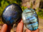 Polished Labradorite Palm Stones x 24 From Madagascar - Toprock Gemstones and Minerals 