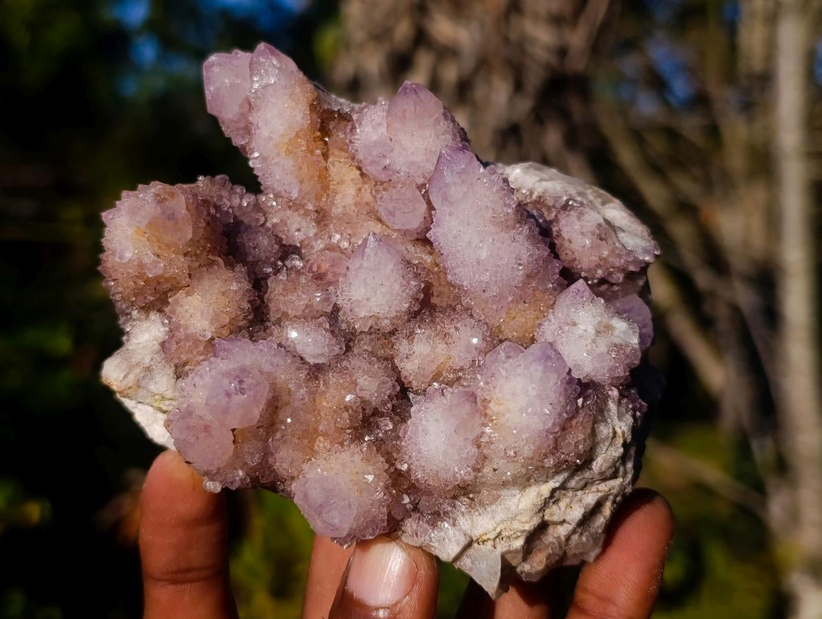 Natural Spirit Ametrine Clusters x 3 From Boekenhouthoek, South Africa - Toprock Gemstones and Minerals 
