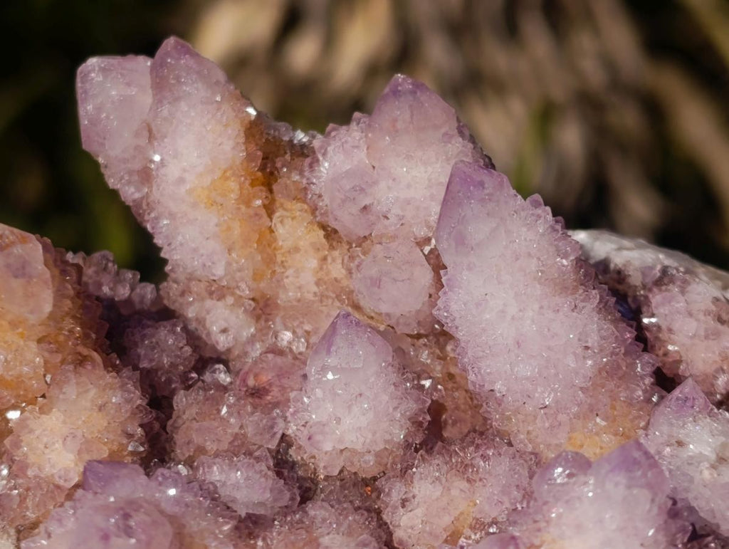 Natural Spirit Ametrine Clusters x 3 From Boekenhouthoek, South Africa - Toprock Gemstones and Minerals 