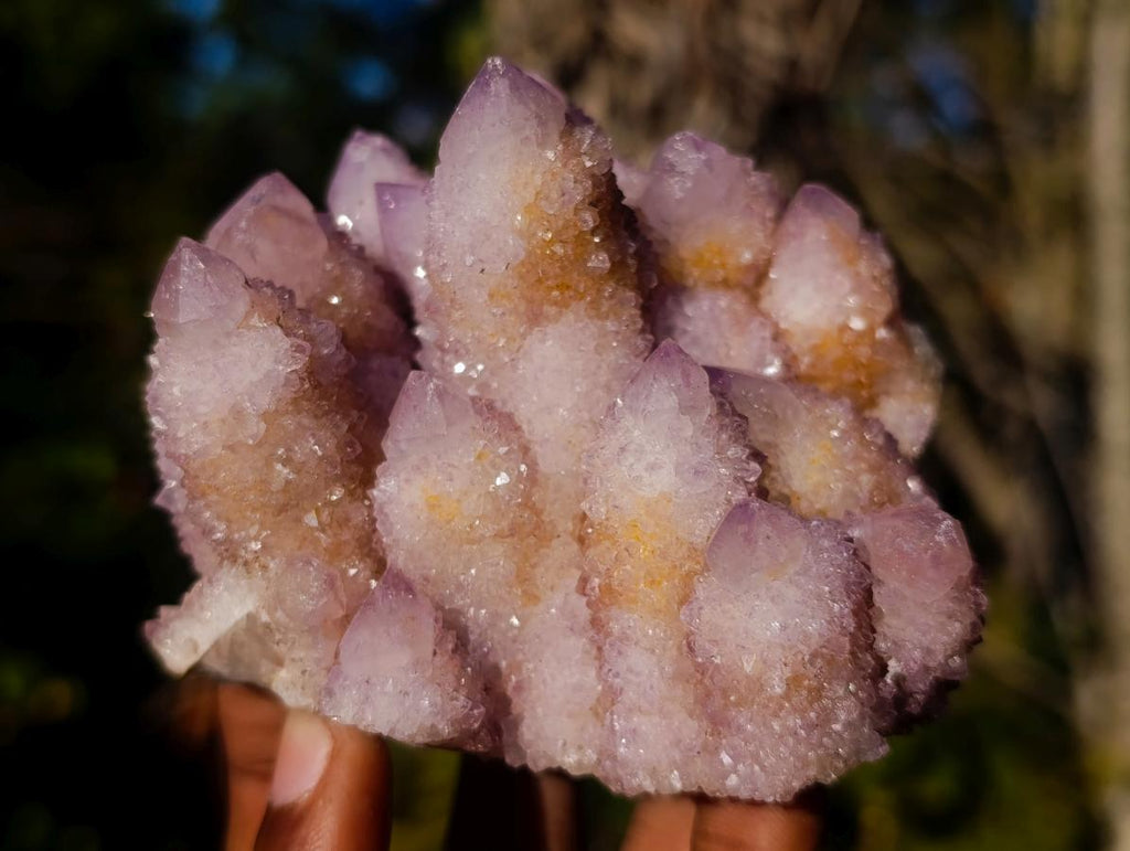 Natural Spirit Ametrine Clusters x 3 From Boekenhouthoek, South Africa - Toprock Gemstones and Minerals 