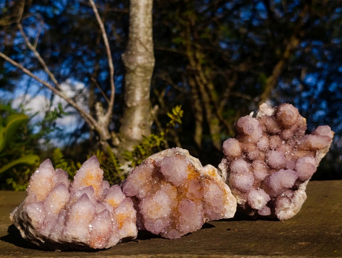 Natural Spirit Ametrine Clusters x 3 From Boekenhouthoek, South Africa - Toprock Gemstones and Minerals 