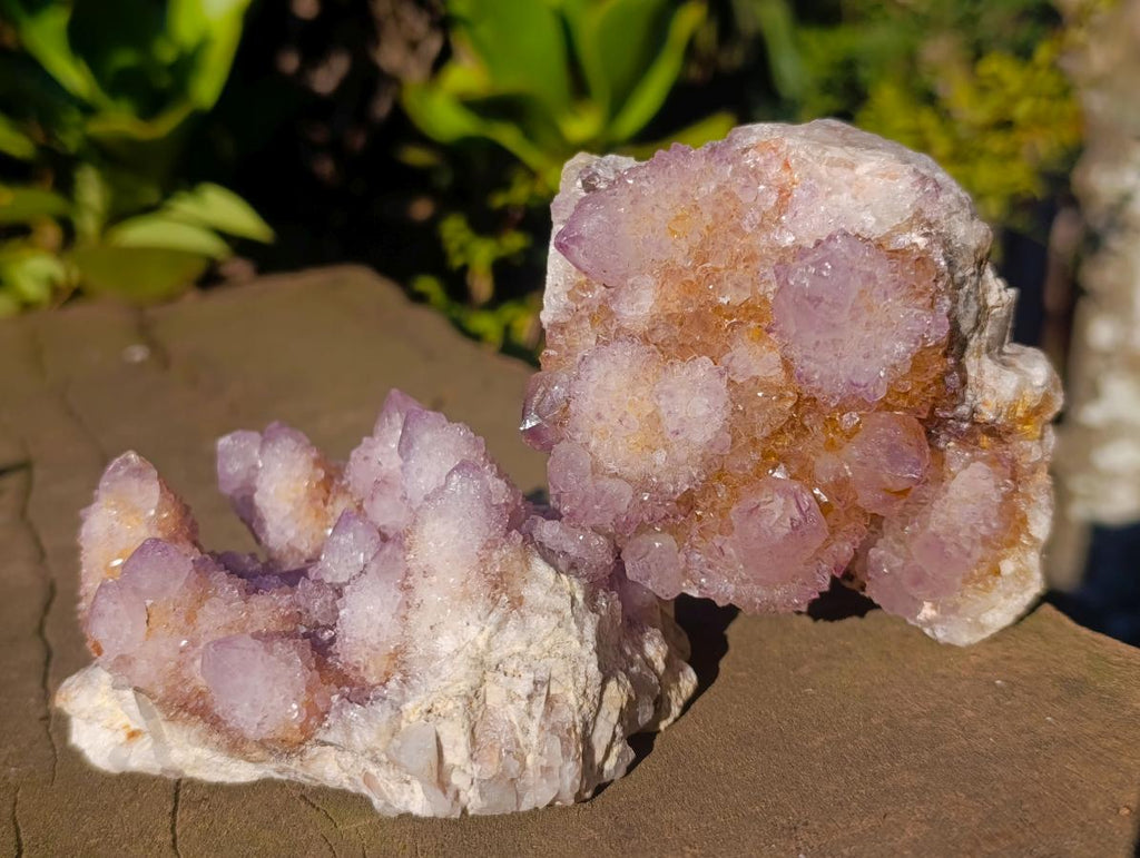 Natural Spirit Ametrine Clusters x 3 From Boekenhouthoek, South Africa - Toprock Gemstones and Minerals 