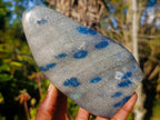 Polished Blue Spotted Spinel in Quartz Standing Display Pieces x 2 From Madagascar - Toprock Gemstones and Minerals 