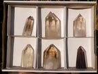 Natural Wispy Phantom Smokey Quartz Crystals x 6 From Erongo, Namibia - Toprock Gemstones and Minerals 