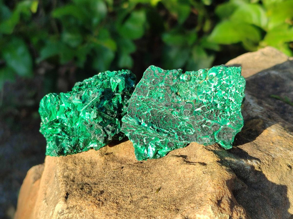 Natural Silky Malachite Specimens x 12 From Kasompe, Congo - Toprock Gemstones and Minerals 