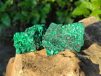 Natural Silky Malachite Specimens x 12 From Kasompe, Congo - Toprock Gemstones and Minerals 