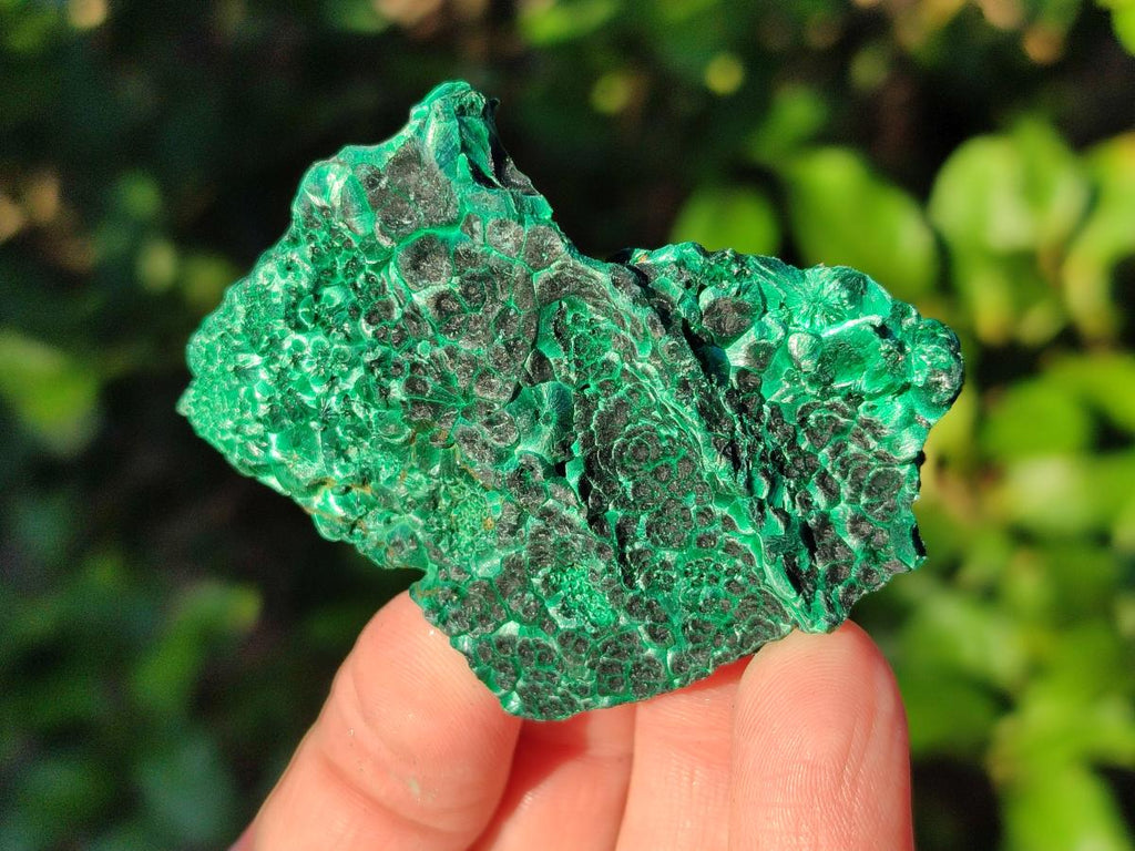 Natural Silky Malachite Specimens x 12 From Kasompe, Congo - Toprock Gemstones and Minerals 