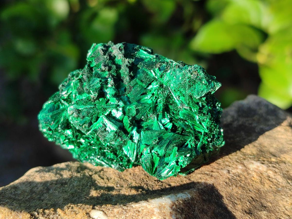 Natural Silky Malachite Specimens x 12 From Kasompe, Congo - Toprock Gemstones and Minerals 