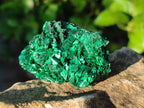 Natural Silky Malachite Specimens x 12 From Kasompe, Congo - Toprock Gemstones and Minerals 