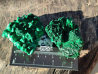Natural Silky Malachite Specimens x 12 From Kasompe, Congo - Toprock Gemstones and Minerals 