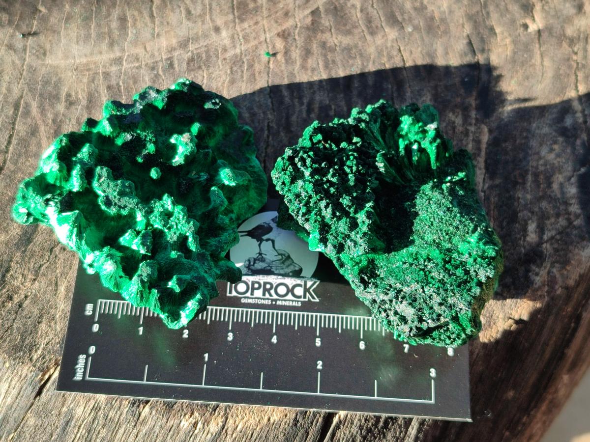 Natural Silky Malachite Specimens x 12 From Kasompe, Congo - Toprock Gemstones and Minerals 