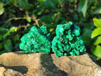 Natural Silky Malachite Specimens x 12 From Kasompe, Congo - Toprock Gemstones and Minerals 