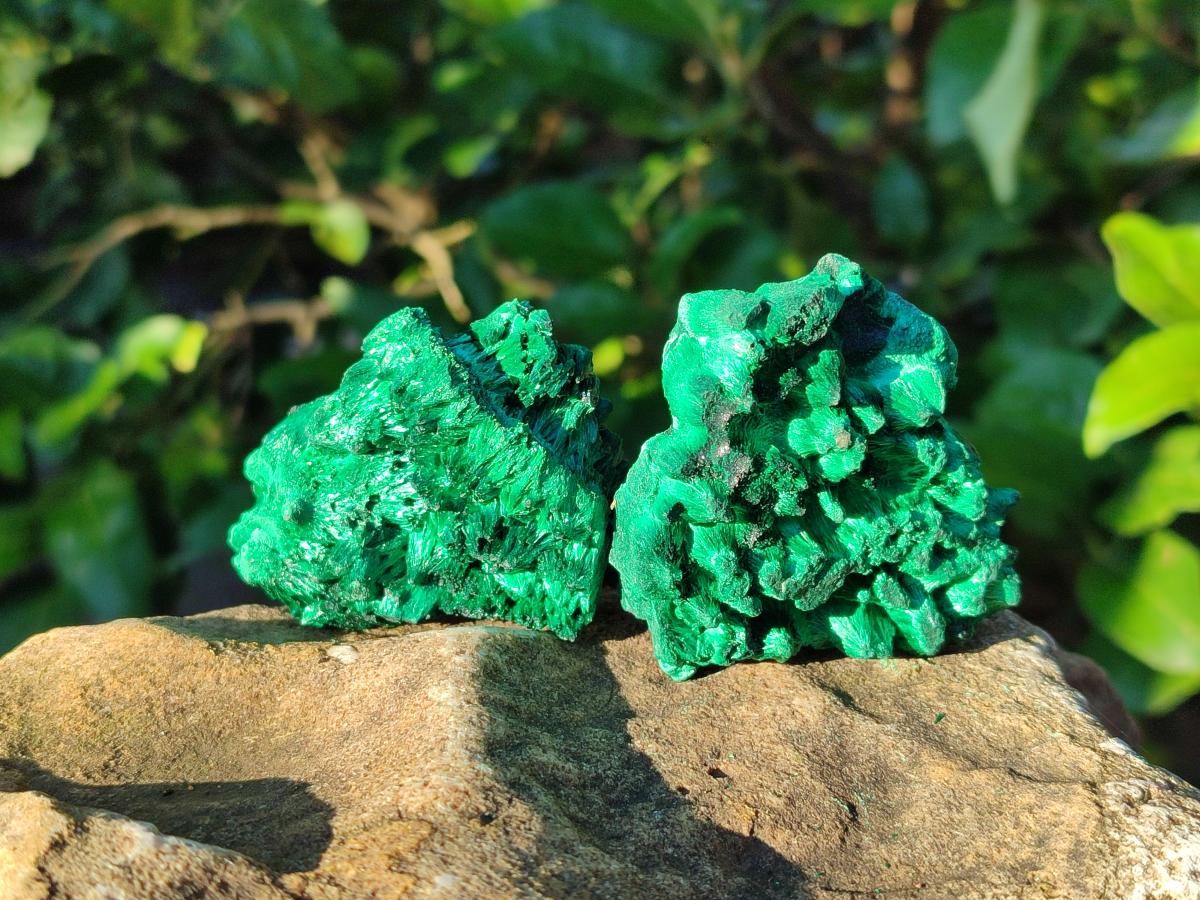 Natural Silky Malachite Specimens x 12 From Kasompe, Congo - Toprock Gemstones and Minerals 