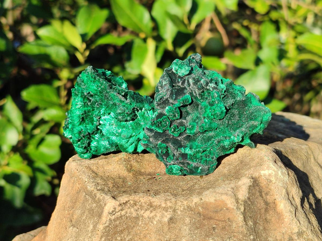 Natural Silky Malachite Specimens x 12 From Kasompe, Congo - Toprock Gemstones and Minerals 