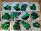 Natural Silky Malachite Specimens x 12 From Kasompe, Congo - Toprock Gemstones and Minerals 
