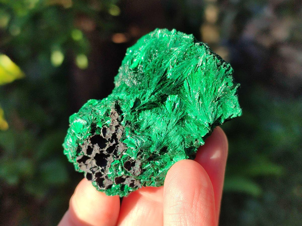 Natural Silky Malachite Specimens x 12 From Kasompe, Congo - Toprock Gemstones and Minerals 