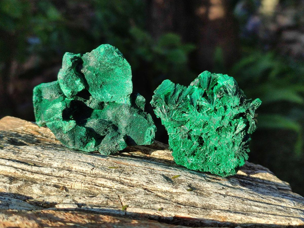 Natural Silky Malachite Specimens x 12 From Kasompe, Congo - Toprock Gemstones and Minerals 