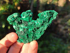 Natural Silky Malachite Specimens x 12 From Kasompe, Congo - Toprock Gemstones and Minerals 