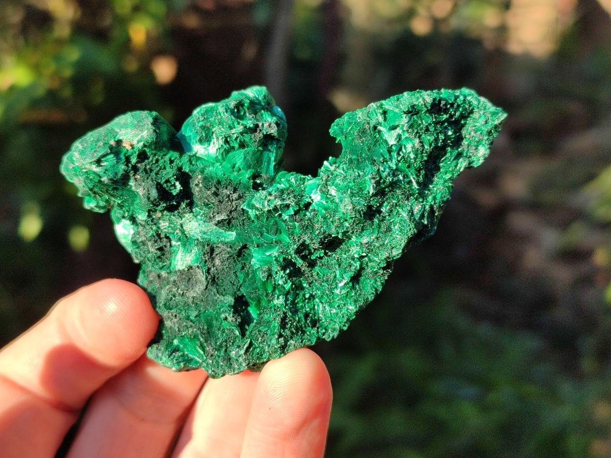 Natural Silky Malachite Specimens x 12 From Kasompe, Congo - Toprock Gemstones and Minerals 