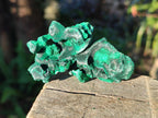 Natural Silky Malachite Specimens x 12 From Kasompe, Congo - Toprock Gemstones and Minerals 