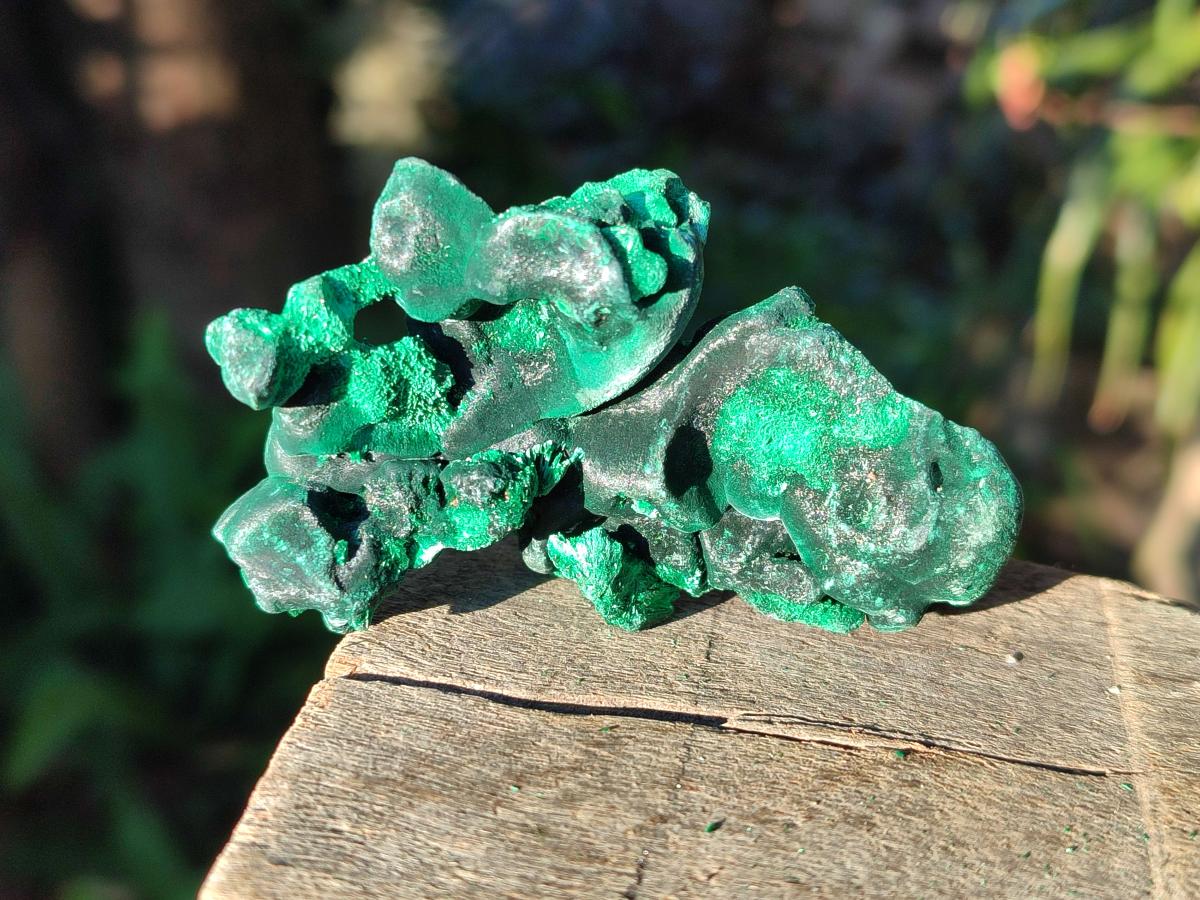Natural Silky Malachite Specimens x 12 From Kasompe, Congo - Toprock Gemstones and Minerals 