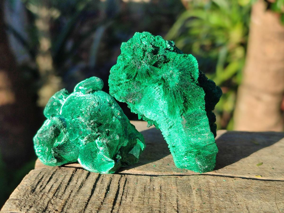 Natural Silky Malachite Specimens x 12 From Kasompe, Congo - Toprock Gemstones and Minerals 