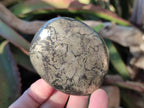 Polished Basalt Pharaoh Stone Galets x 6 From Iron Duke Mine, Zimbabwe - Toprock Gemstones and Minerals 