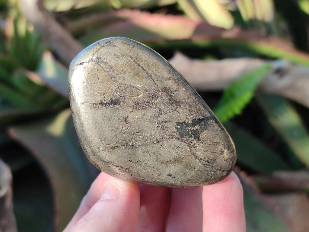 Polished Basalt Pharaoh Stone Galets x 6 From Iron Duke Mine, Zimbabwe - Toprock Gemstones and Minerals 