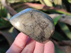 Polished Basalt Pharaoh Stone Galets x 6 From Iron Duke Mine, Zimbabwe - Toprock Gemstones and Minerals 