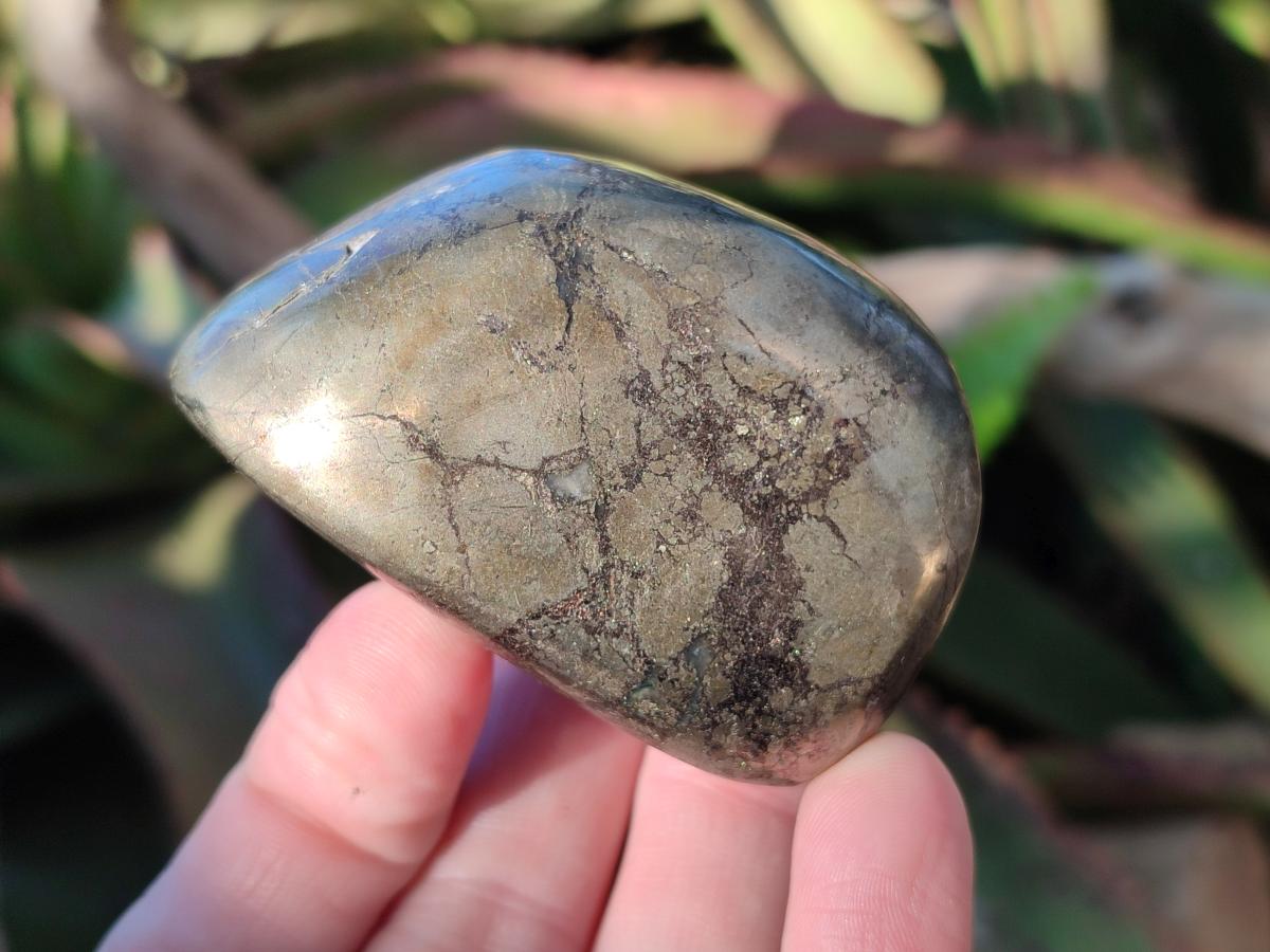 Polished Basalt Pharaoh Stone Galets x 6 From Iron Duke Mine, Zimbabwe - Toprock Gemstones and Minerals 
