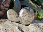 Polished Basalt Pharaoh Stone Galets x 6 From Iron Duke Mine, Zimbabwe - Toprock Gemstones and Minerals 