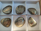 Polished Basalt Pharaoh Stone Galets x 6 From Iron Duke Mine, Zimbabwe - Toprock Gemstones and Minerals 
