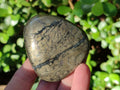 Polished Basalt Pharaoh Stone Galets x 6 From Iron Duke Mine, Zimbabwe - Toprock Gemstones and Minerals 