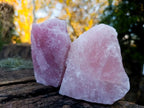 Natural Cobbed Rose Quartz Specimens x 12 From Northern Cape, South Africa - Toprock Gemstones and Minerals 